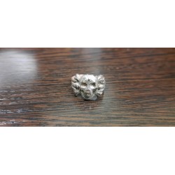 Ring Skull