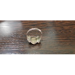 Ring Skull